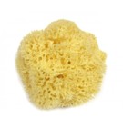 Натуральная морская губка Honeycomb средняя (13-15 см)