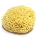Натуральная морская губка Honeycomb большая (15-18 см)