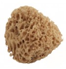 Натуральная морская  неотбеленная губка Honeycomb 6,0 дюймов (13-15 см)