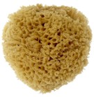 Натуральная морская неотбеленная губка Honeycomb большая (15-18 см)